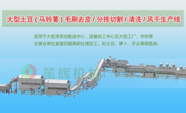 新邱连续式土豆去皮清洗切割风干生产线